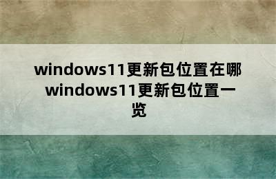 windows11更新包位置在哪 windows11更新包位置一览